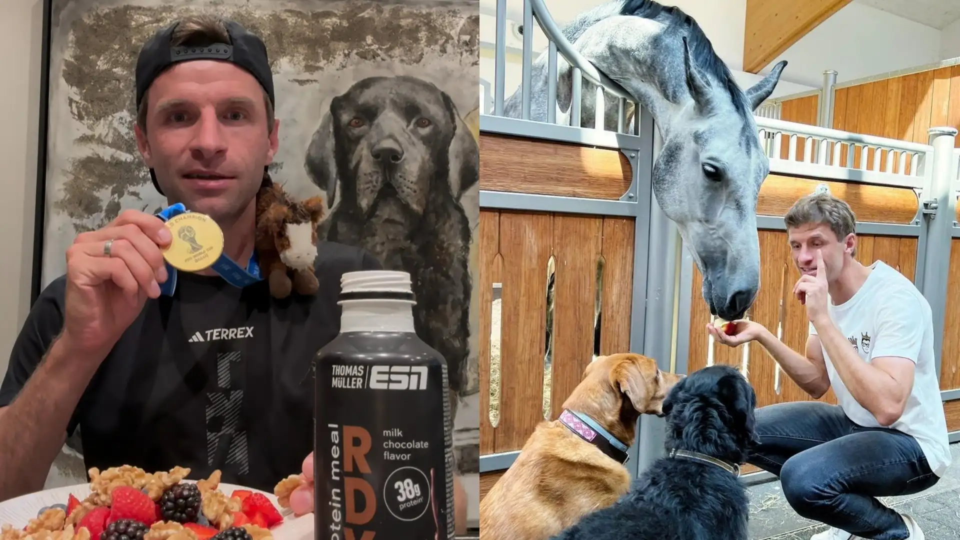 ტომას მიულერის ცხენი ოლიმპიური ჩემპიონი გახდა